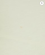 LOEWE（ロエベ）Tシャツ・カットソー 白 サイズ:M レディース/2200640696337