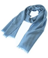 LOEWE（ロエベ）マフラー 青 サイズ:- メンズ/2200657515072