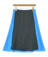 LOEWE（ロエベ）ロング・マキシ丈スカート 青 サイズ:36(XS位) レディース/2200719916205