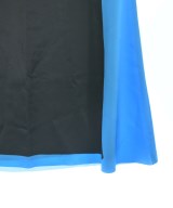LOEWE（ロエベ）ロング・マキシ丈スカート 青 サイズ:36(XS位) レディース/2200719916205
