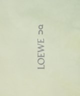 LOEWE（ロエベ）ダウンジャケット/ダウンベスト 緑 サイズ:XS メンズ/2200723287018