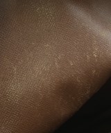 LOUIS VUITTON（ルイヴィトン）ショルダーバッグ 茶 サイズ:M レディース/2200683237061