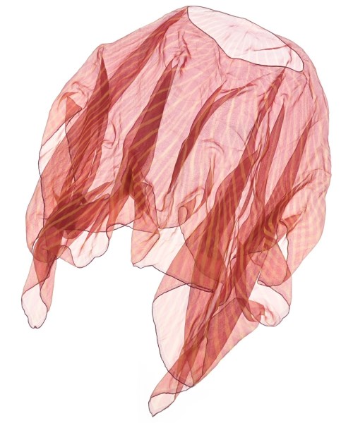 HERMES(エルメス)ストール 赤 サイズ:-/2200654551226