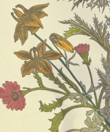 GUCCI（グッチ）Tシャツ・カットソー 白 サイズ:XS レディース/2200643507166