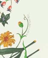 GUCCI（グッチ）バンダナ・スカーフ 白 サイズ:- レディース/2200696911057