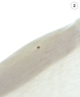 PRADA（プラダ）Tシャツ・カットソー 白 サイズ:M メンズ/2200670423095