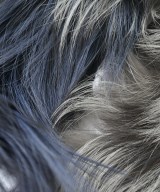 FENDI（フェンディ）マフラー 紺 サイズ:- レディース/2200651951326