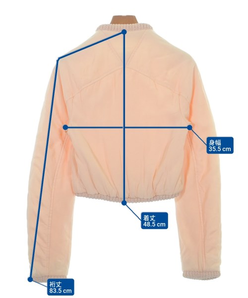 BOTTEGA VENETA（ボッテガヴェネタ）その他 ピンク サイズ:34(XXS位) レディース/2200663007028