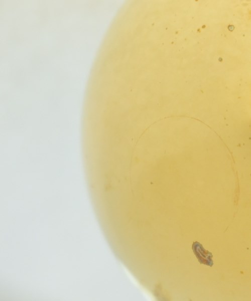 JIL SANDER（ジルサンダー）ハンドバッグ 白 サイズ:- レディース/2200644741972