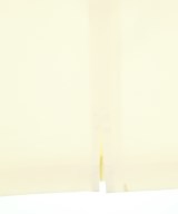 JIL SANDER（ジルサンダー）ひざ丈スカート 白 サイズ:36(XS位) レディース/2200693143093