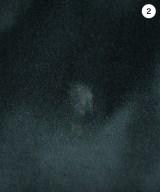 PRADA SPORT（プラダスポーツ）その他 緑 サイズ:40(M位) レディース/2200663479016