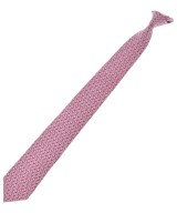 Salvatore Ferragamo ネクタイ