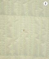 Salvatore Ferragamo（サルバトーレフェラガモ）その他 白 サイズ:40(M位) レディース/2200624099062