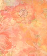 Salvatore Ferragamo（サルバトーレフェラガモ）ストール オレンジ サイズ:- レディース/2200614488036