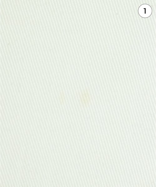 Salvatore Ferragamo（サルバトーレフェラガモ）その他 白 サイズ:40(M位) レディース/2200661327128