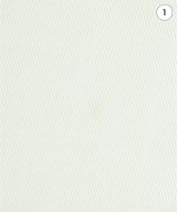 Salvatore Ferragamo（サルバトーレフェラガモ）その他 白 サイズ:40(M位) レディース/2200661327128