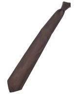 Salvatore Ferragamo ネクタイ