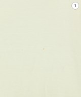 ARMANI COLLEZIONI（アルマーニコレツィオーニ）Tシャツ・カットソー 白 サイズ:38(S位) レディース/2200615470047