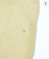 Berluti（ベルルッティ）ニット・セーター 白 サイズ:XL メンズ/2200613457545