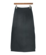 Loro Piana（ロロピアーナ）ロング・マキシ丈スカート 黒 サイズ:XS レディース/2200617092087
