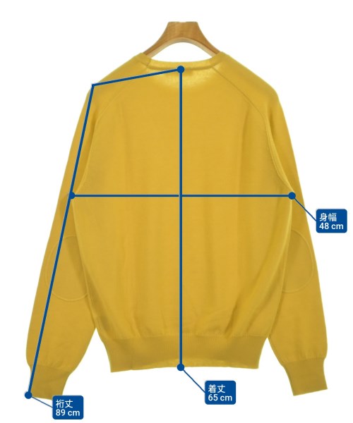 Loro Piana（ロロピアーナ）ニット・セーター 黄 サイズ:50(XL位) メンズ/2200616763032