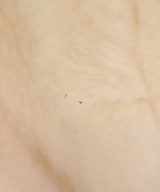 Loro Piana（ロロピアーナ）ムートンコート 白 サイズ:XS レディース/2200690246155