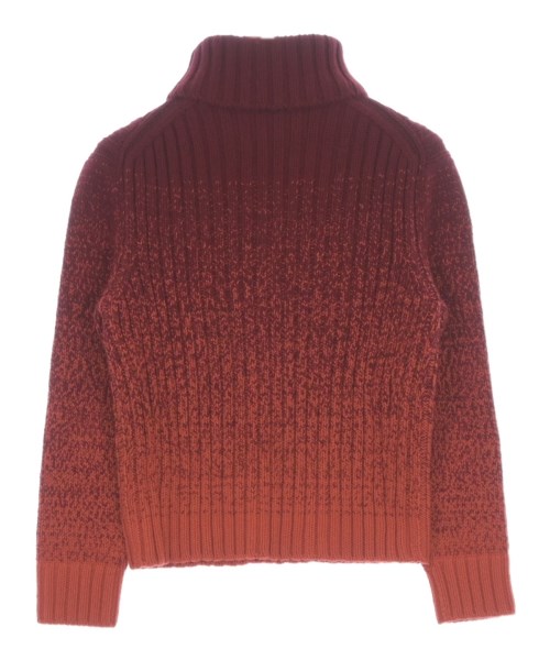 Loro Piana（ロロピアーナ）その他 赤 サイズ:36(XS位) レディース/2200708782026