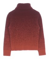 Loro Piana（ロロピアーナ）その他 赤 サイズ:36(XS位) レディース/2200708782026