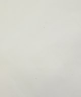 NINA RICCI（ニナリッチ）カジュアルシャツ 白 サイズ:34(XXS位) レディース/2200627933080