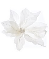 NINA RICCI（ニナリッチ）ブローチ・コサージュ 白 サイズ:- レディース/2200709682233