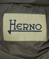 HERNO（ヘルノ）ダウンコート グレー サイズ:42(M位) レディース/2200620023276
