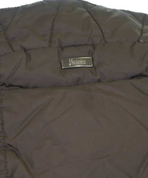 HERNO（ヘルノ）ダウンジャケット/ダウンベスト 茶 サイズ:46(M位) メンズ/2200619268015
