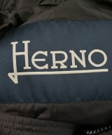 HERNO（ヘルノ）ダウンジャケット/ダウンベスト 茶 サイズ:46(M位) メンズ/2200619268015