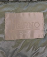 HERNO（ヘルノ）ダウンジャケット/ダウンベスト グレー サイズ:48(L位) メンズ/2200639172026