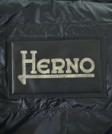 HERNO（ヘルノ）ダウンジャケット/ダウンベスト 紺 サイズ:50(XL位) メンズ/2200639670034