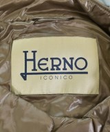 HERNO（ヘルノ）ダウンジャケット/ダウンベスト 茶 サイズ:46(XL位) レディース/2200588263035