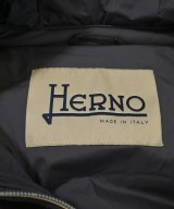 HERNO（ヘルノ）ダウンコート グレー サイズ:38(S位) レディース/2200632236299