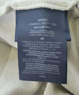 HERNO（ヘルノ）パーカー グレー サイズ:46(M位) メンズ/2200631300014