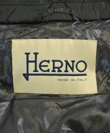 HERNO（ヘルノ）その他 黒 サイズ:42(M位) レディース/2200624635017