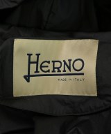 HERNO（ヘルノ）その他 黒 サイズ:38(S位) レディース/2200623785010