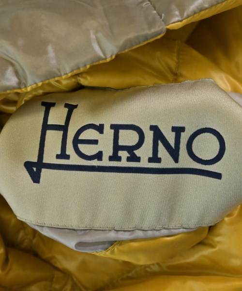 HERNO（ヘルノ）ダウンジャケット/ダウンベスト グレー サイズ:40(M位) レディース/2200626369033