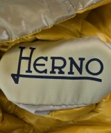 HERNO（ヘルノ）ダウンジャケット/ダウンベスト グレー サイズ:40(M位) レディース/2200626369033
