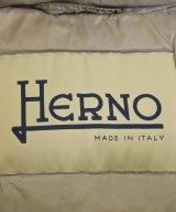 HERNO（ヘルノ）ダウンジャケット/ダウンベスト グレー サイズ:42(M位) レディース/2200627167034