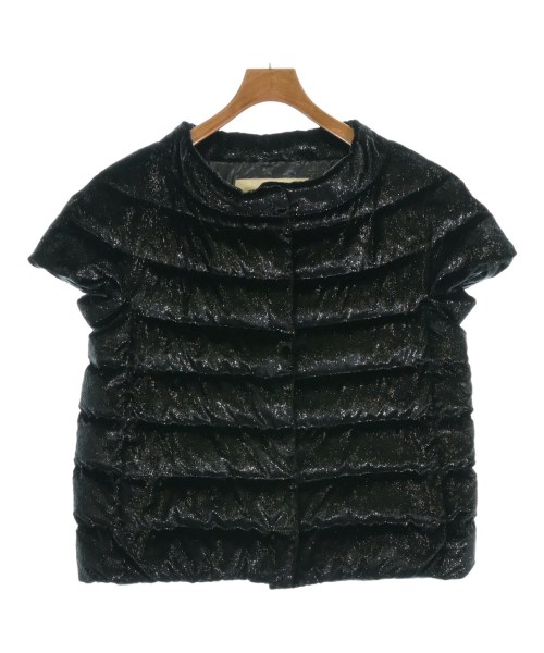 ヘルノ(HERNO)のHERNO ダウンジャケット/ダウンベスト