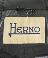 HERNO（ヘルノ）ダウンジャケット/ダウンベスト 黒 サイズ:40(M位) レディース/2200607651027