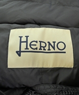 HERNO（ヘルノ）ダウンジャケット/ダウンベスト 黒 サイズ:40(M位) レディース/2200609811016
