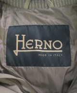HERNO（ヘルノ）ダウンジャケット/ダウンベスト グレー サイズ:44(S位) メンズ/2200616466018