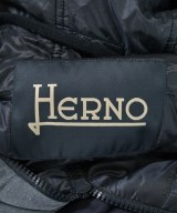 HERNO（ヘルノ）ダウンジャケット/ダウンベスト 紺 サイズ:48(L位) メンズ/2200614699029