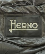 HERNO（ヘルノ）ダウンコート グレー サイズ:42(M位) レディース/2200619965013