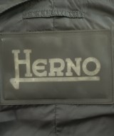HERNO（ヘルノ）ダウンジャケット/ダウンベスト グレー サイズ:44(S位) メンズ/2200671276010